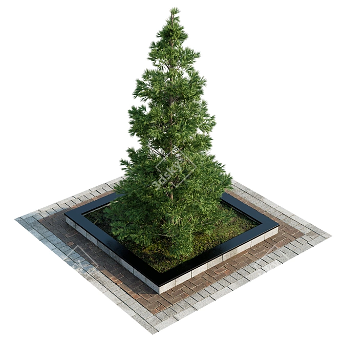 Realistic Pine Tree Set: 3D Model 3D model image 2