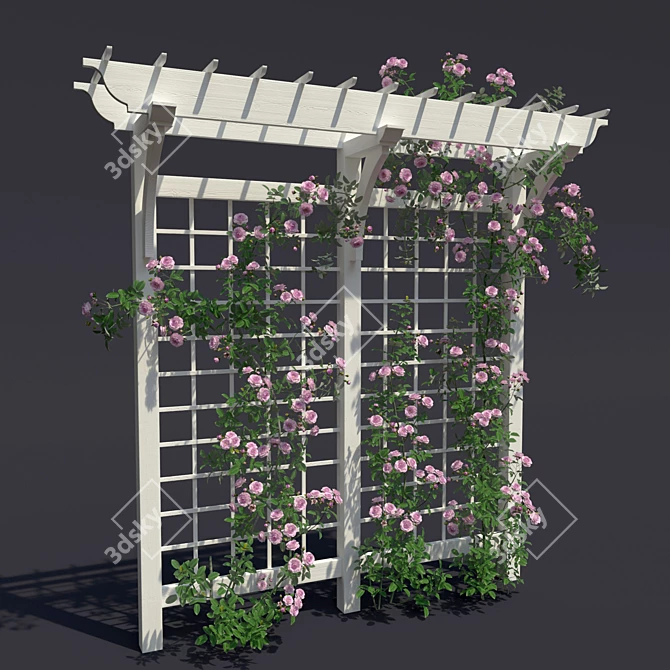 Pergola No. 1. Climbing Rose

 Elegant Pergola with Beautiful Climbing Roses 3D model image 2