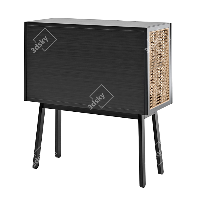 Title: Rattan Door Cabinet: Stylish Storage Solution 3D model image 4