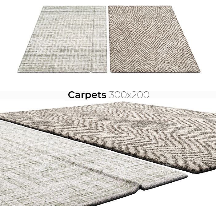 Stylish Home Carpets 3D model image 1