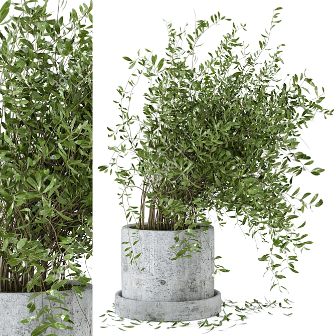 Rusty Concrete Pot Indoor Plant Set 3D model image 1