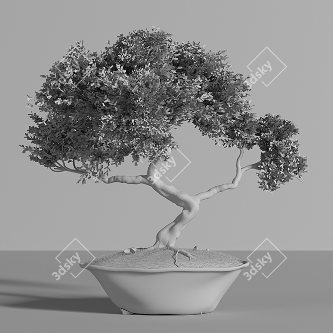 2015 Bonsai Plant - Premium Quality 3D model image 5