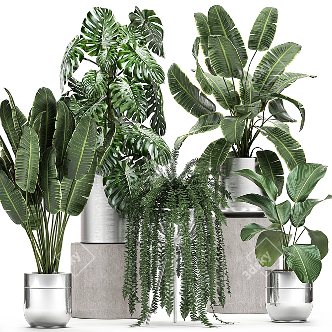 Lush Green Plant Collection for Indoor and Outdoor Spaces 3D model image 1