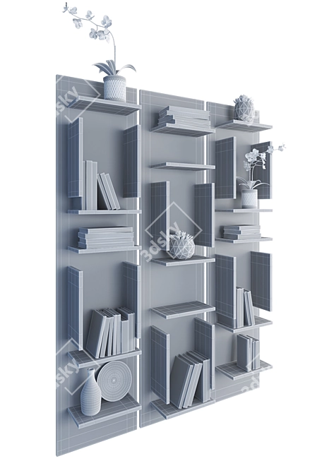 Contemporary Cattelan Italia Bookshelf: Sleek Design, Ample Storage 3D model image 3