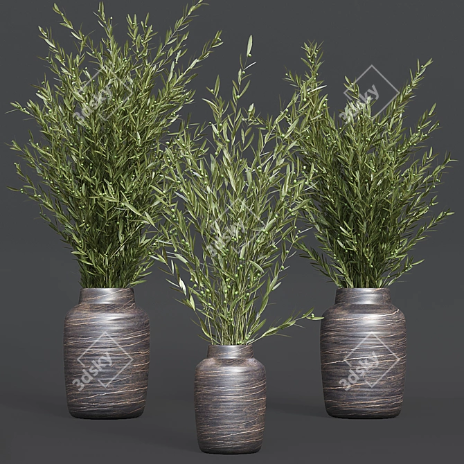 Oliv Collection Plant: 3D Model 3D model image 2