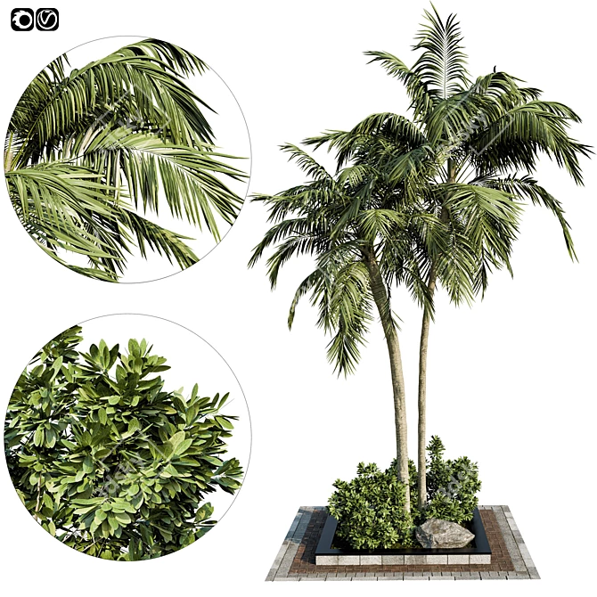 Exquisite Garden Palm Set 3D model image 1