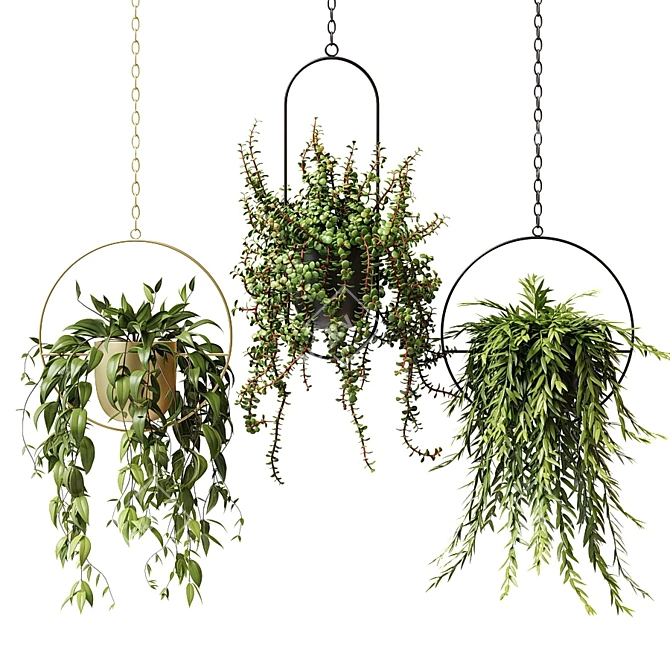 Hanging Planter Set: Cascading Ampel Plants 3D model image 1