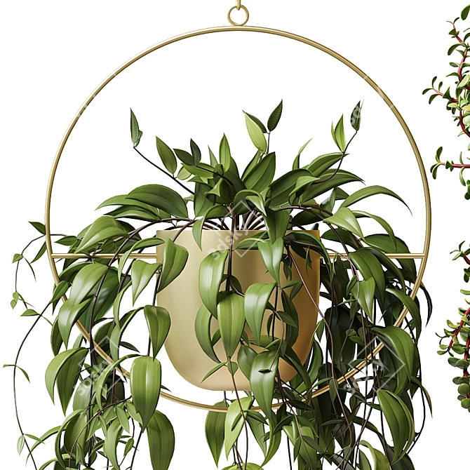 Hanging Planter Set: Cascading Ampel Plants 3D model image 2