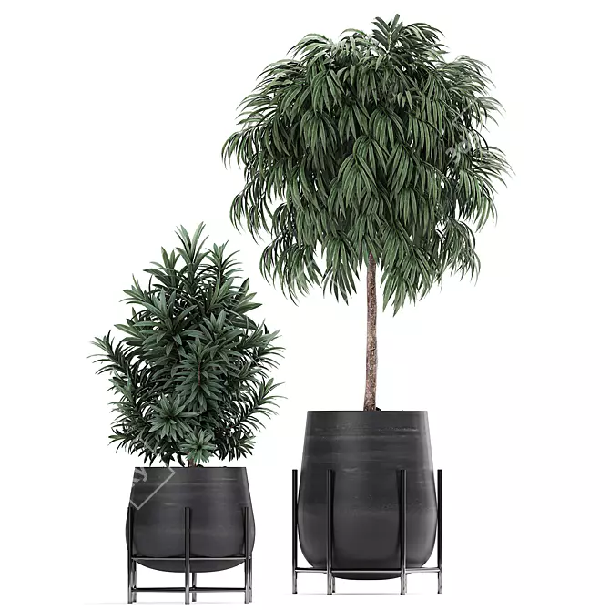 Tropical Plant Collection in Black Pots 3D model image 3