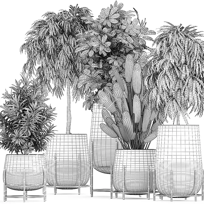 Tropical Plant Collection in Black Pots 3D model image 5