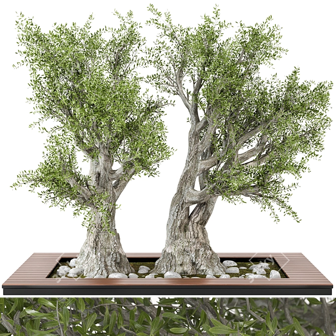 3D Garden Set Tree - Outdoor Plants 3D model image 1