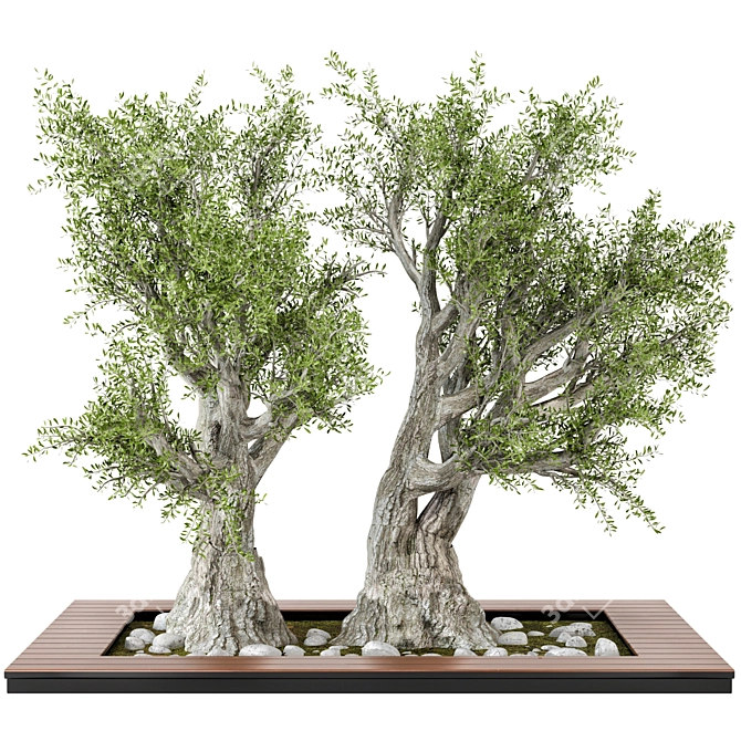 3D Garden Set Tree - Outdoor Plants 3D model image 2