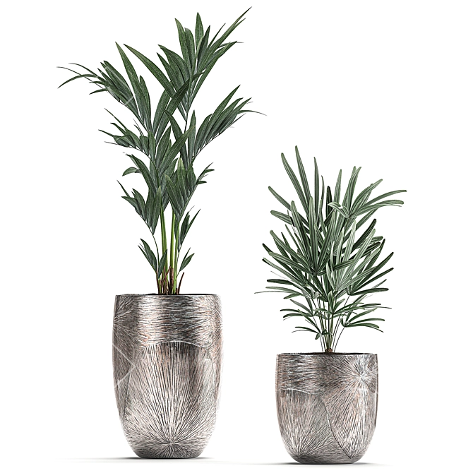 Luxury Plant Collection: Exotic & Tropical Beauties 3D model image 3