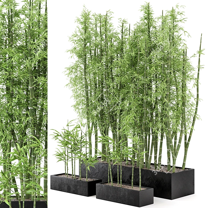  Rusty Concrete Pot Indoor Bamboo Plants Set 3D model image 1