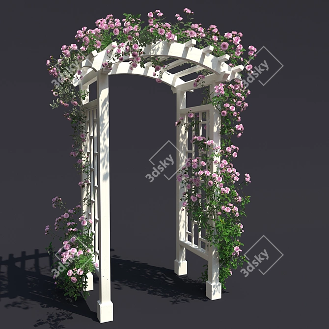 Garden Arch №3 with Climbing Roses - White  Elegant Garden Arch with Climbing Roses 3D model image 2