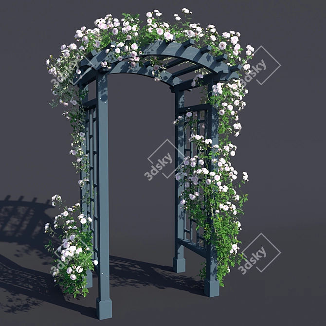 Garden Arch №3 with Climbing Roses - White  Elegant Garden Arch with Climbing Roses 3D model image 3