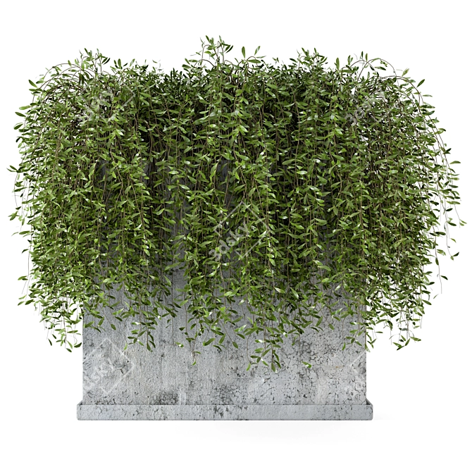 Rusty Concrete Pot Set: Outdoor Plants 3D model image 3