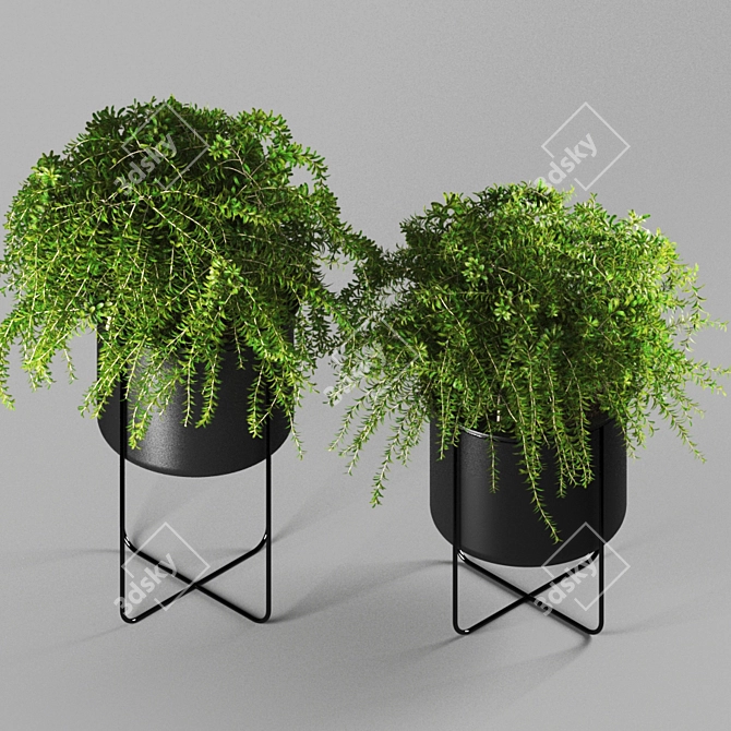 515k Poly Unique Plant 3D model image 2
