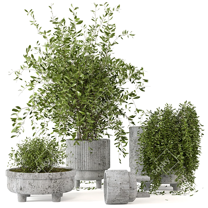  Rusty Concrete Pot Indoor Plant Set 3D model image 1