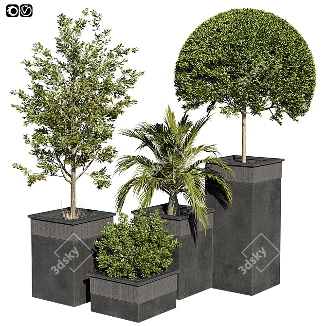 Tropical Garden Set: Palm Trees 3D model image 1