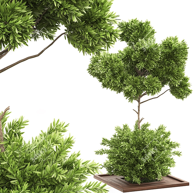 Garden Oasis Bush & Tree Set 3D model image 2