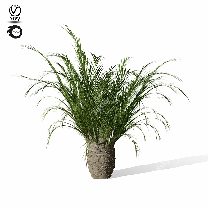 Tropical Paradise: Palm Tree 9s 3D model image 3