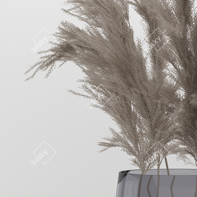 Elegant Dried Pampas Set 3D model image 2