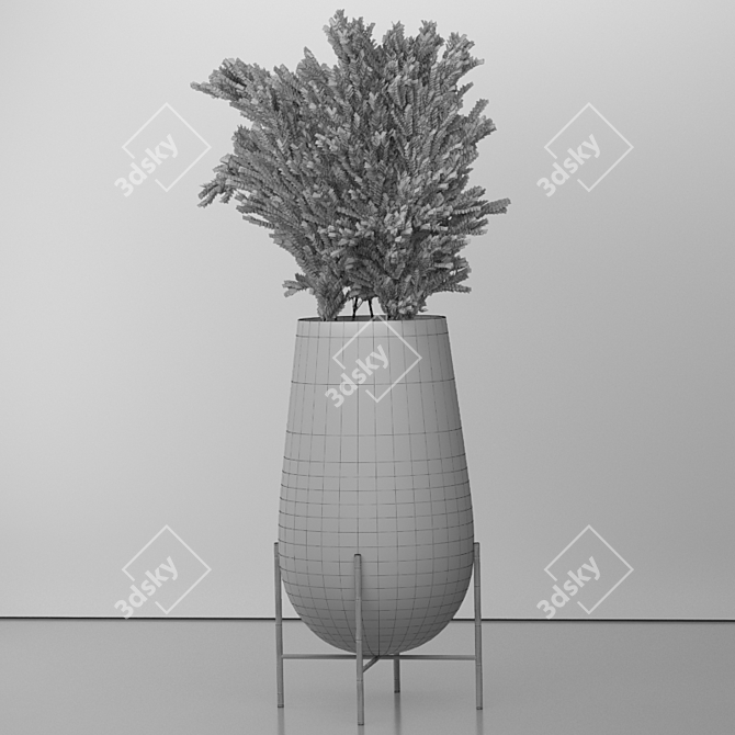 Elegant Dried Pampas Set 3D model image 3