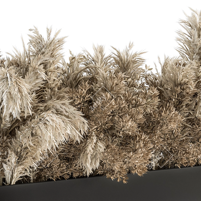 Botanical Bliss: Dried Plant Box 3D model image 3