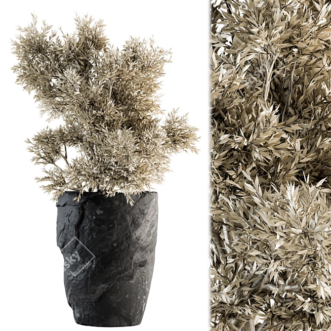  Dried Plant Set - Indoor Botanical Collection 3D model image 1