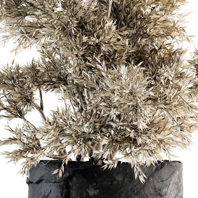  Dried Plant Set - Indoor Botanical Collection 3D model image 2