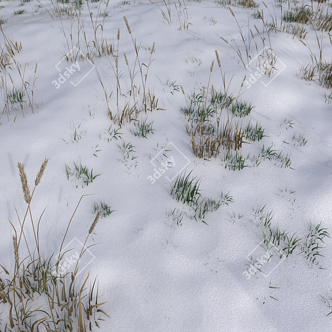 Snowy Grass Field: 3x3m Area with Custom Scatter 3D model image 1