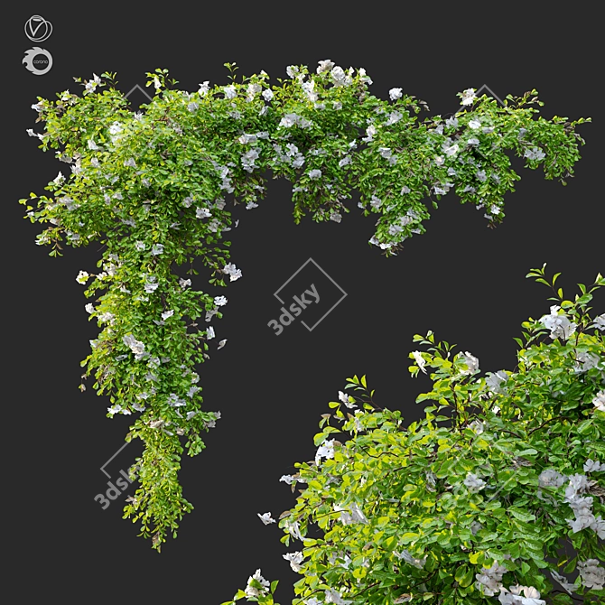 Hanging Greenery: Versatile and Detailed 3D model image 1