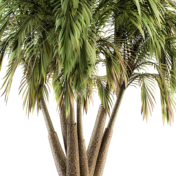 Tropical Bliss: Green Palm Bundle - Set of 32 3D model image 3