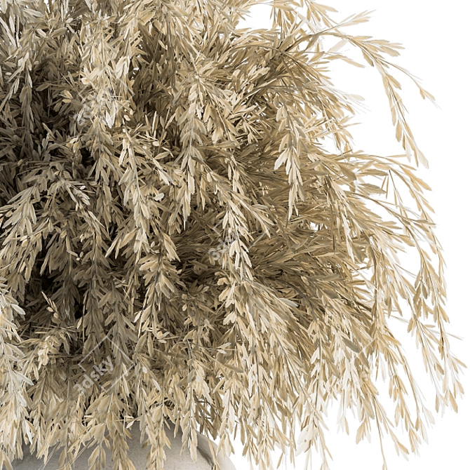 Everlasting Elegance: Dried Ruscus 3D model image 2