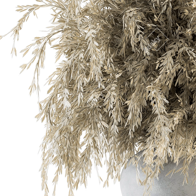 Everlasting Elegance: Dried Ruscus 3D model image 3