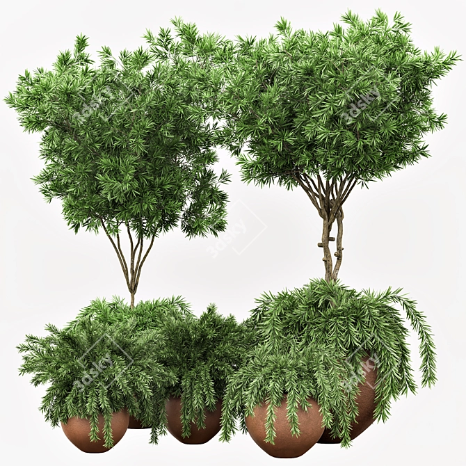 2020 Outdoor Plants Tree | Realistic Design 3D model image 1