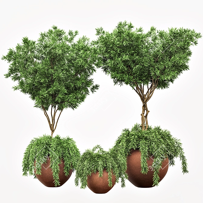 2020 Outdoor Plants Tree | Realistic Design 3D model image 2