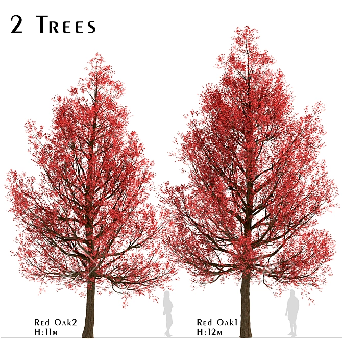 Premium Red Oak Tree Set (2 Trees) 3D model image 2