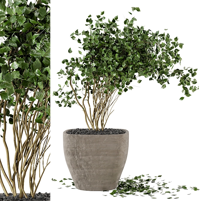 Rusty Concrete Pot Indoor Plants 3D model image 1