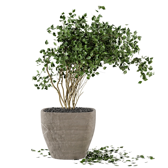 Rusty Concrete Pot Indoor Plants 3D model image 2