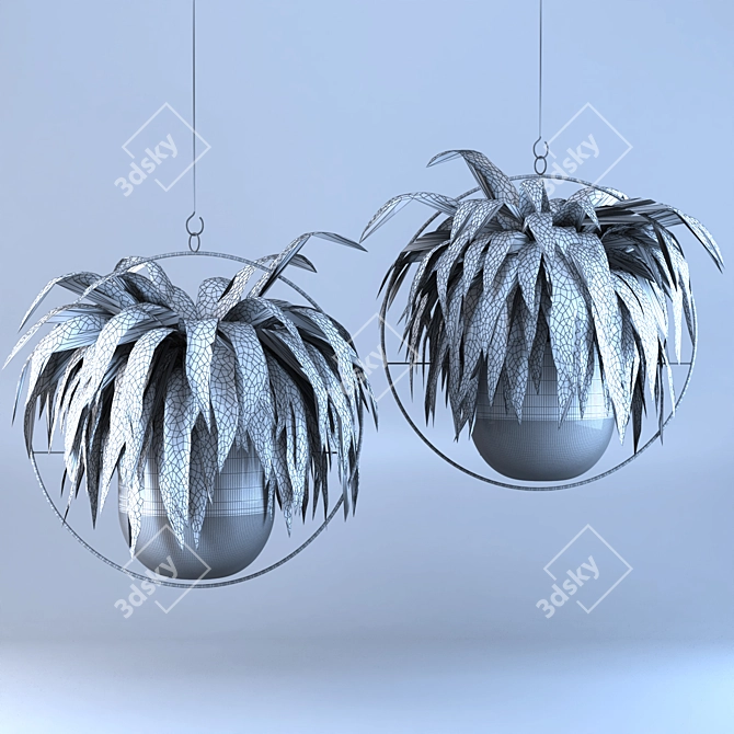 Lush Green Hanging Fern Duo 3D model image 3