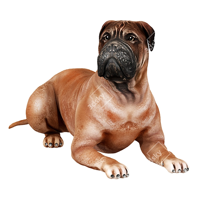  Lifelike Bullmastiff Dog Model 3D model image 1