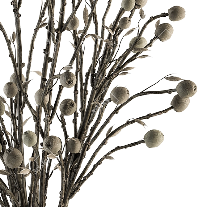 Papavet Dried Plant Bouquet 3D model image 3
