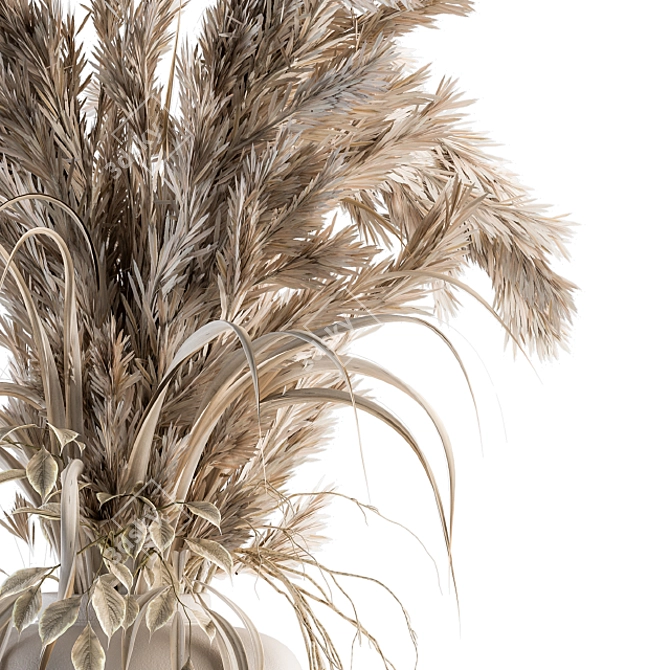 Pampas Dream - Dried Plant Bouquet 3D model image 2