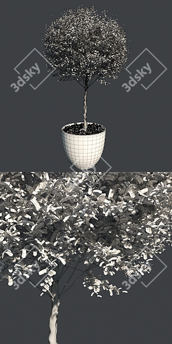 Spherical Benjamin Pot: Clean Topology, Real-World Scale! 3D model image 5