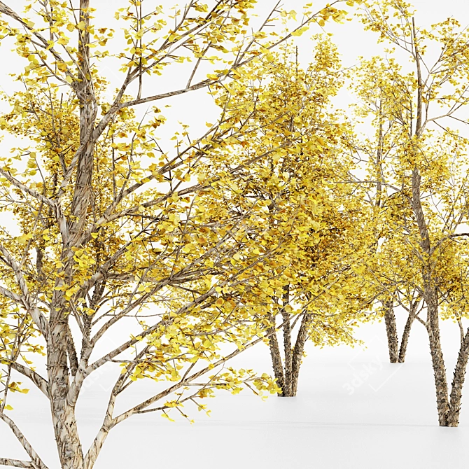 Bountiful River Birch Trees 3D model image 3