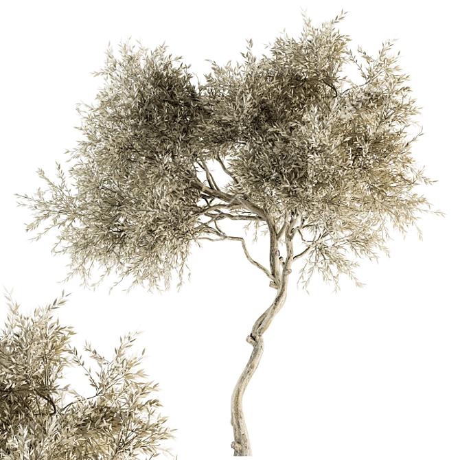 Leafy Tree Dried Set - 30 3D model image 1