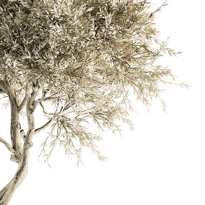 Leafy Tree Dried Set - 30 3D model image 2