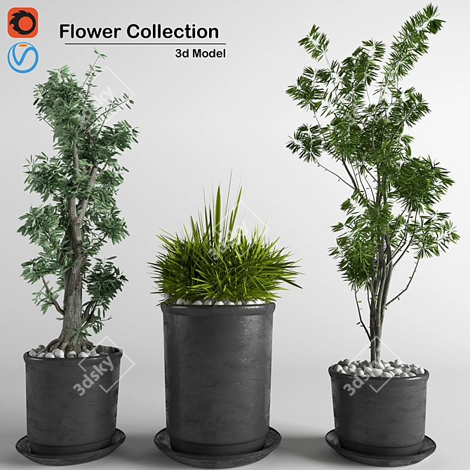 3D Indoor Plant Collection: High-Quality, FBX Compatible 3D model image 1